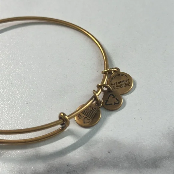 Pre owned Alex and Ani 2014 Charm Bangle Bracelet - Picture 5 of 13